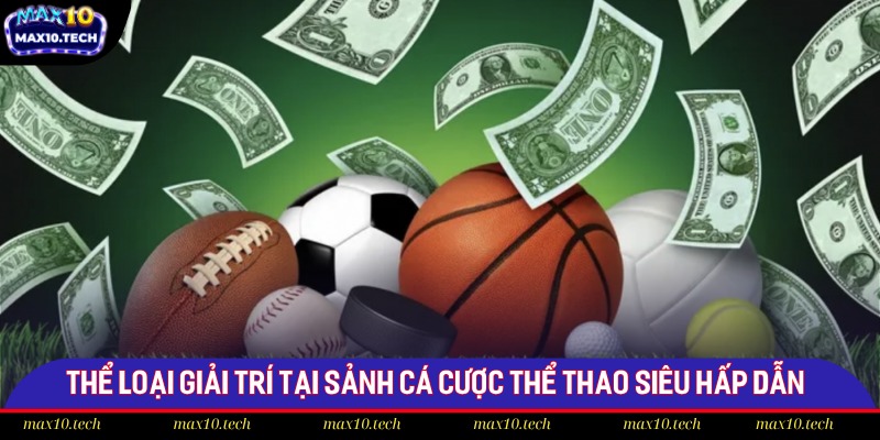 Thể loại giải trí tại sảnh cá cược thể thao siêu hấp dẫn 