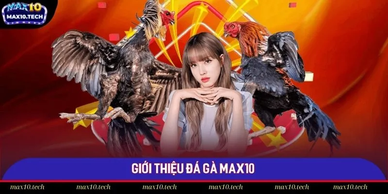 Thông tin giới thiệu về sảnh chọi gà Max10 cực hot