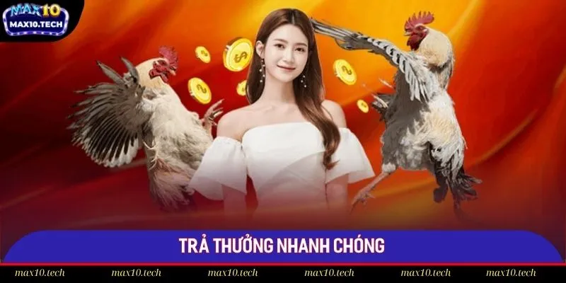 Điểm danh các ưu điểm đặc trưng trong sảnh chọi gà Max10