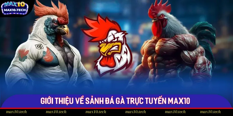 Chi Tiết Luật Cá Cược Đá Gà Trực Tuyến Max10 Chuẩn 2025 1 Đôi nét về đá gà trực tuyến Max10