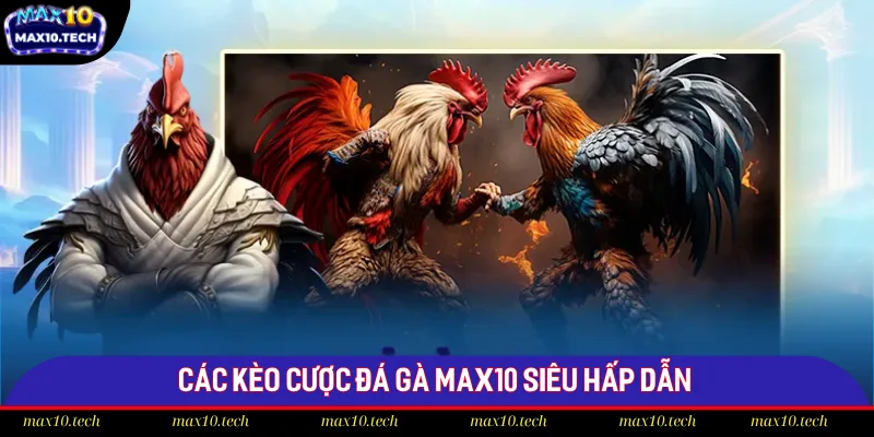 Chi Tiết Luật Cá Cược Đá Gà Trực Tuyến Max10 Chuẩn 2025 3 Điểm danh các kèo cược đá gà hấp dẫn tại Max10