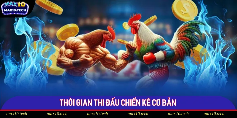Chi Tiết Luật Cá Cược Đá Gà Trực Tuyến Max10 Chuẩn 2025 2 Thời gian thi đấu chiến kê