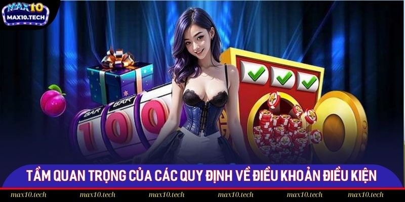 Tầm quan trọng của các quy định về điều khoản điều kiện