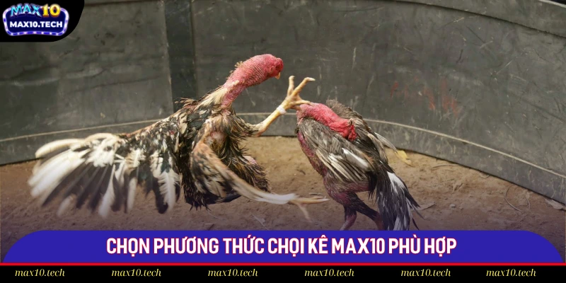 Kinh Nghiệm Soi Cầu Gà Chiến Chọn Kèo Max10 Hay Nhất 2025 2 Chọn phương thức chọi kê Max10 phù hợp
