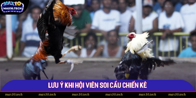 Kinh Nghiệm Soi Cầu Gà Chiến Chọn Kèo Max10 Hay Nhất 2025 3 Lưu ý khi hội viên soi cầu chiến kê
