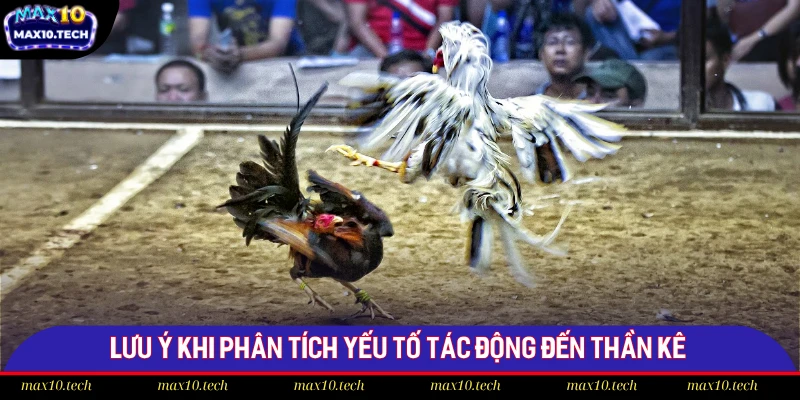 Phân Tích 5 Yếu Tố Ảnh Hưởng Đến Trận Đá Gà Tại Max10 3 Lưu ý khi phân tích yếu tố tác động đến thần kê