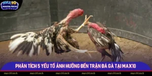 Phân Tích 5 Yếu Tố Ảnh Hưởng Đến Trận Đá Gà Tại Max10